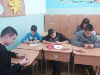 Квалификация 2026г. 5
